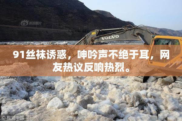 91丝袜诱惑，呻吟声不绝于耳，网友热议反响热烈。
