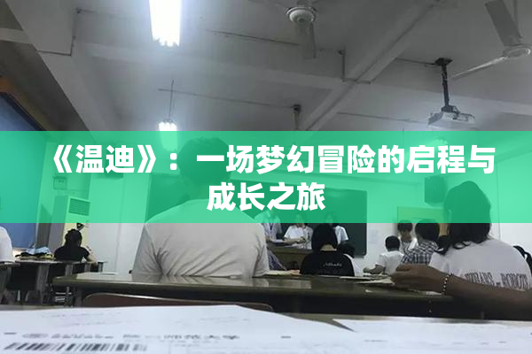 《温迪》：一场梦幻冒险的启程与成长之旅