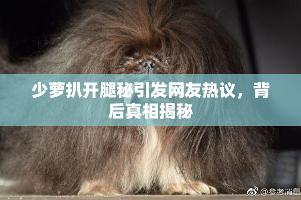 少萝扒开腿秘引发网友热议，背后真相揭秘