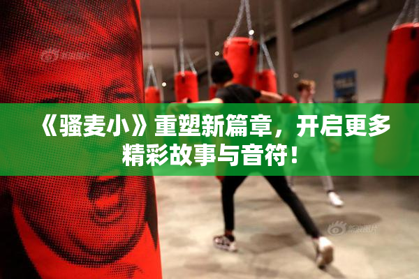 《骚麦小》重塑新篇章，开启更多精彩故事与音符！