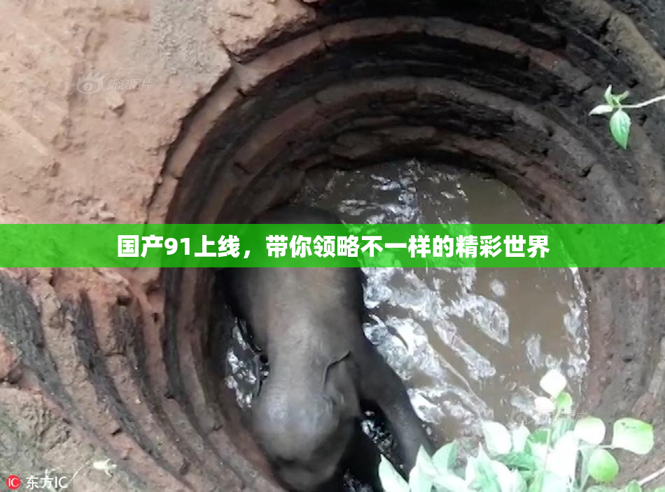 国产91上线，带你领略不一样的精彩世界