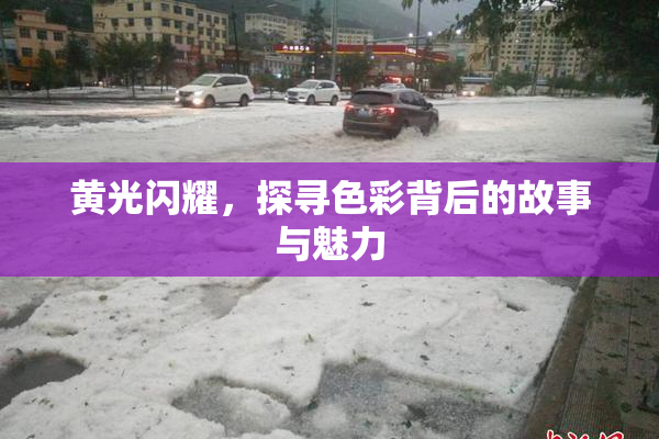 黄光闪耀，探寻色彩背后的故事与魅力
