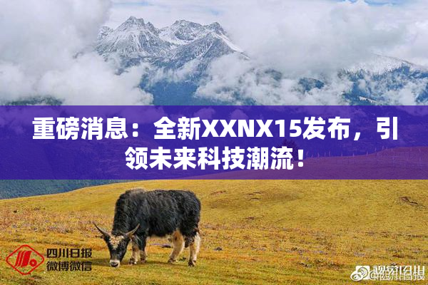 重磅消息：全新XXNX15发布，引领未来科技潮流！