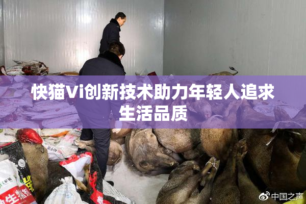 快猫Vi创新技术助力年轻人追求生活品质