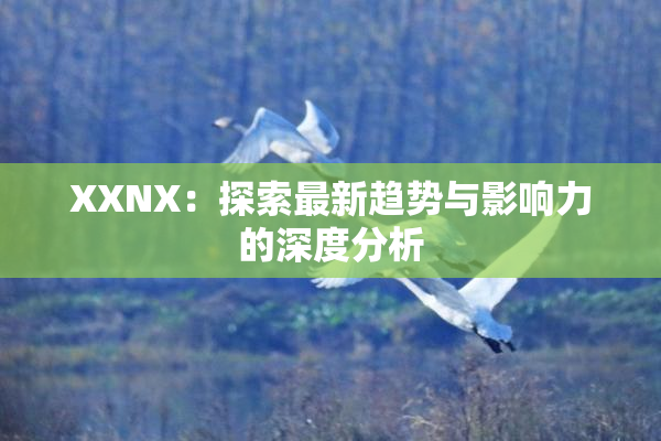 XXNX：探索最新趋势与影响力的深度分析