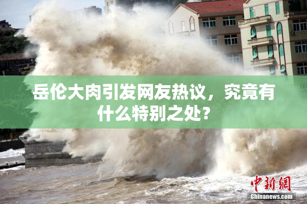 岳伦大肉引发网友热议，究竟有什么特别之处？
