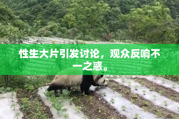 性生大片引发讨论，观众反响不一之惑。