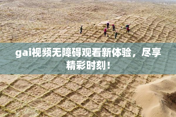gai视频无障碍观看新体验，尽享精彩时刻！