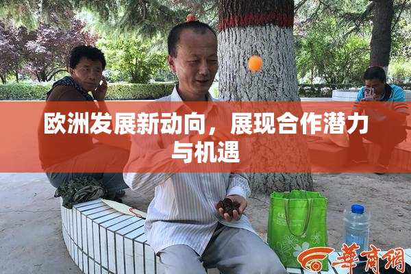 欧洲发展新动向，展现合作潜力与机遇