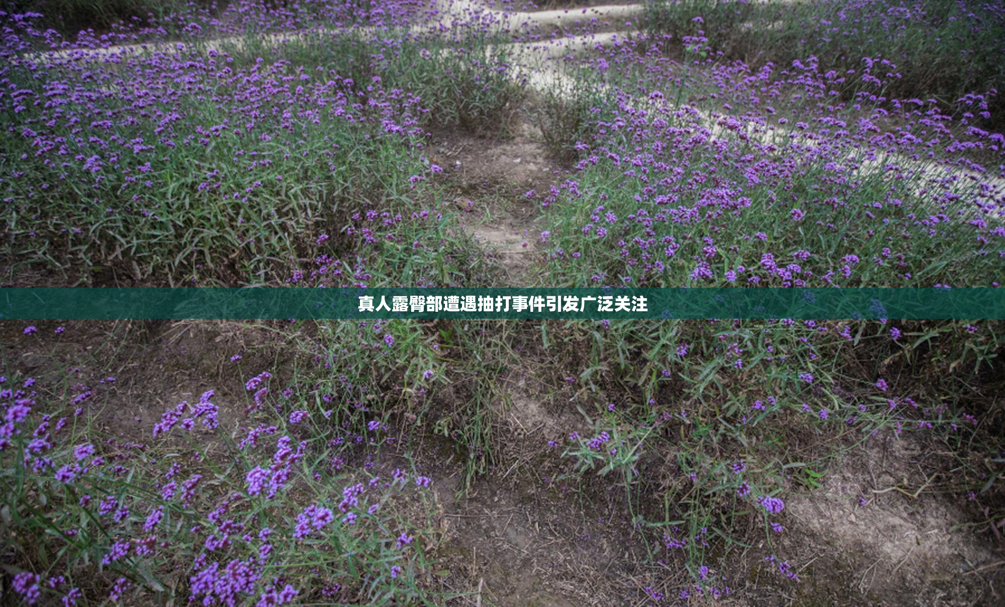 真人露臀部遭遇抽打事件引发广泛关注