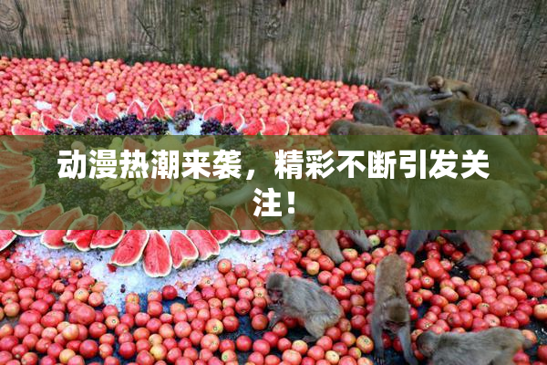 动漫热潮来袭，精彩不断引发关注！