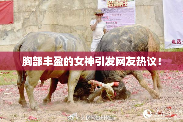 胸部丰盈的女神引发网友热议！