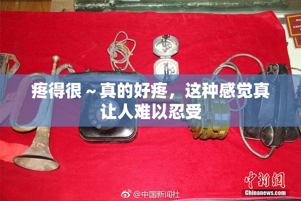 疼得很～真的好疼，这种感觉真让人难以忍受
