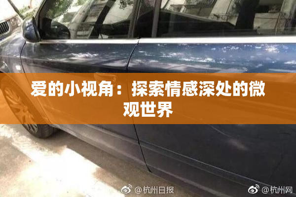 爱的小视角：探索情感深处的微观世界