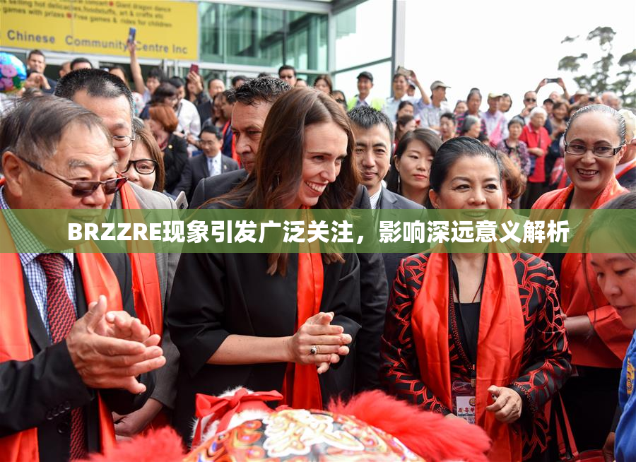 BRZZRE现象引发广泛关注，影响深远意义解析