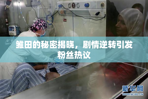 雏田的秘密揭晓，剧情逆转引发粉丝热议