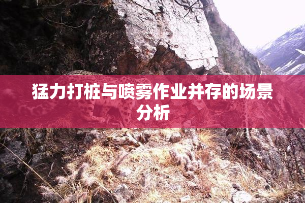 猛力打桩与喷雾作业并存的场景分析