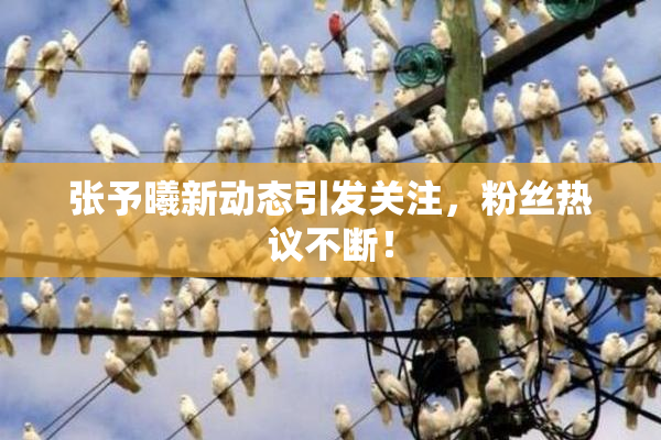 张予曦新动态引发关注，粉丝热议不断！