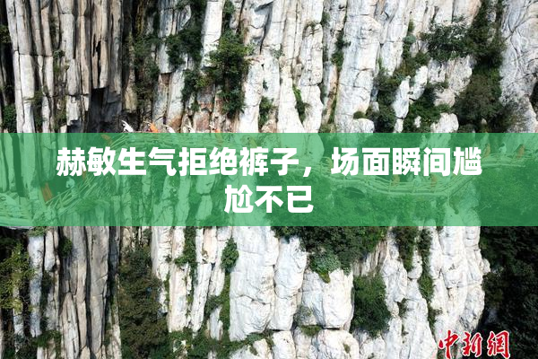 赫敏生气拒绝裤子，场面瞬间尴尬不已