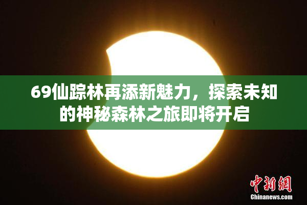 69仙踪林再添新魅力，探索未知的神秘森林之旅即将开启