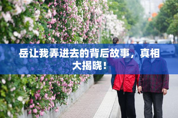 岳让我弄进去的背后故事，真相大揭晓！