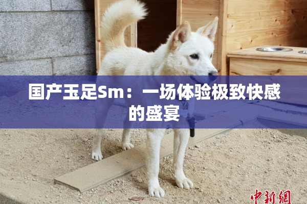 国产玉足Sm：一场体验极致快感的盛宴