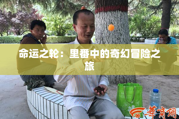 命运之轮：里番中的奇幻冒险之旅