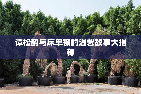 谭松韵与床单被的温馨故事大揭秘