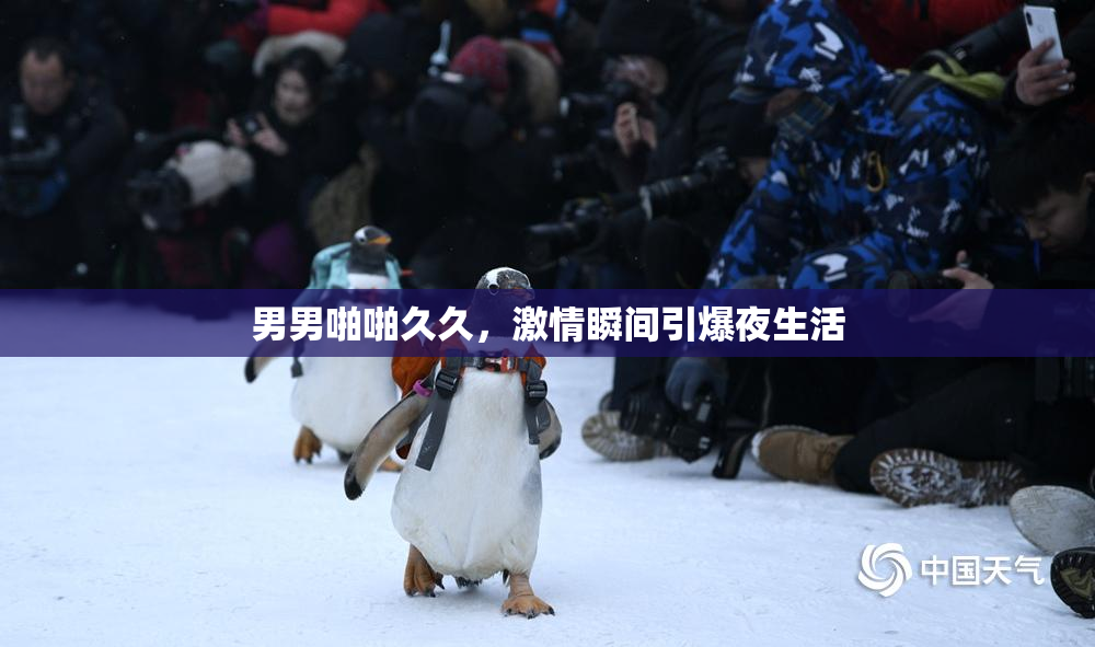 男男啪啪久久，激情瞬间引爆夜生活