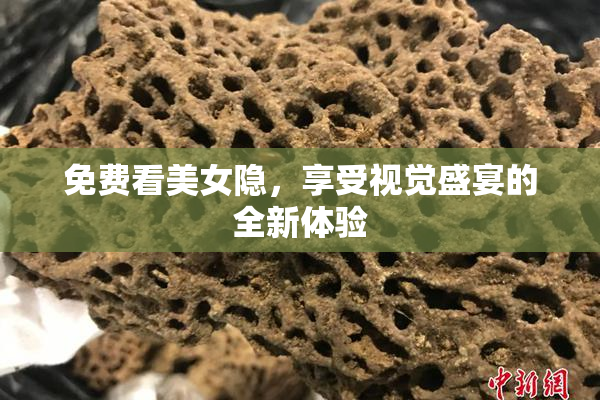 免费看美女隐，享受视觉盛宴的全新体验