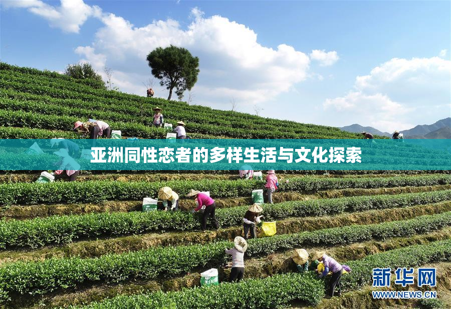 亚洲同性恋者的多样生活与文化探索