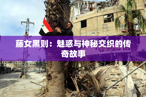 藤女黑则：魅惑与神秘交织的传奇故事