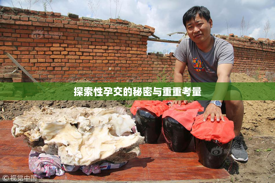 探索性孕交的秘密与重重考量