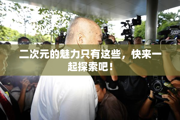 二次元的魅力只有这些，快来一起探索吧！
