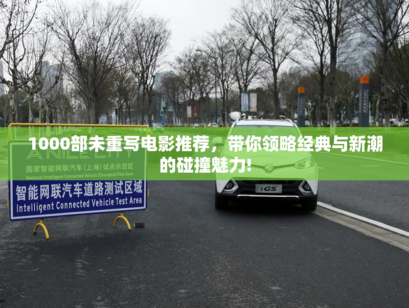 1000部未重写电影推荐，带你领略经典与新潮的碰撞魅力!