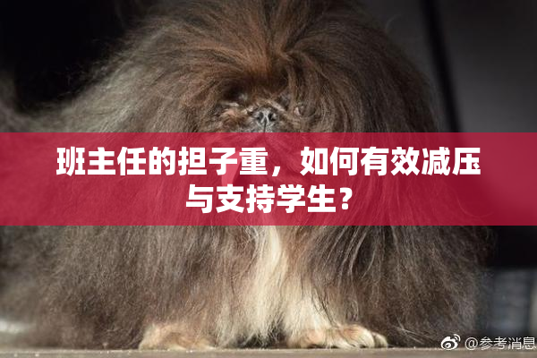 班主任的担子重，如何有效减压与支持学生？