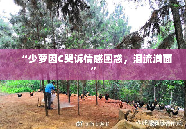 “少萝因C哭诉情感困惑，泪流满面”