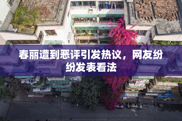 春丽遭到恶评引发热议，网友纷纷发表看法