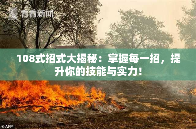 108式招式大揭秘：掌握每一招，提升你的技能与实力！