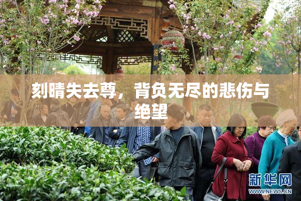 刻晴失去尊，背负无尽的悲伤与绝望