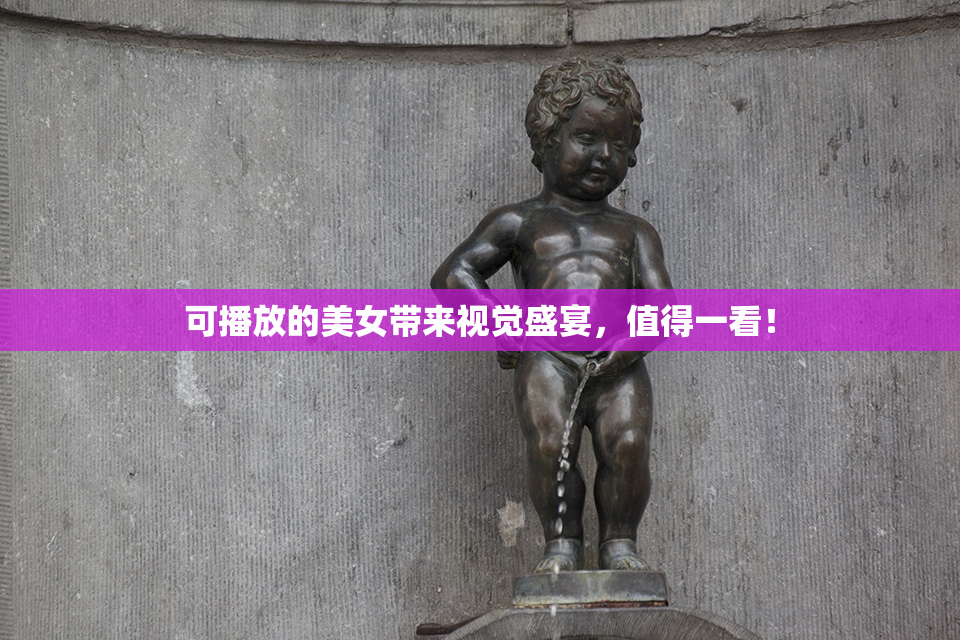 可播放的美女带来视觉盛宴，值得一看！