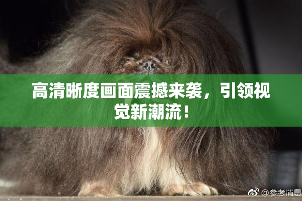 高清晰度画面震撼来袭，引领视觉新潮流！