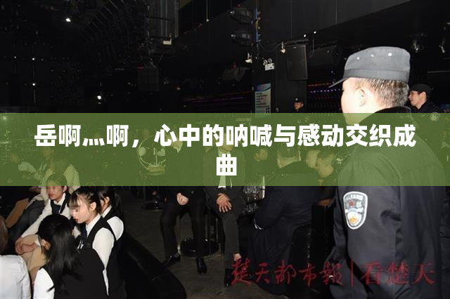 岳啊灬啊，心中的呐喊与感动交织成曲