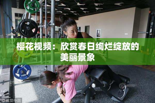 樱花视频：欣赏春日绚烂绽放的美丽景象