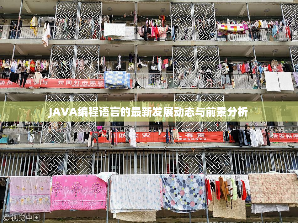 JAVA编程语言的最新发展动态与前景分析