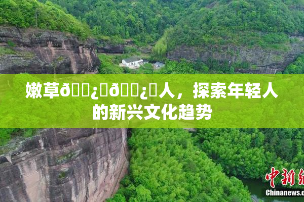 嫩草🌿‌🌿‌人，探索年轻人的新兴文化趋势