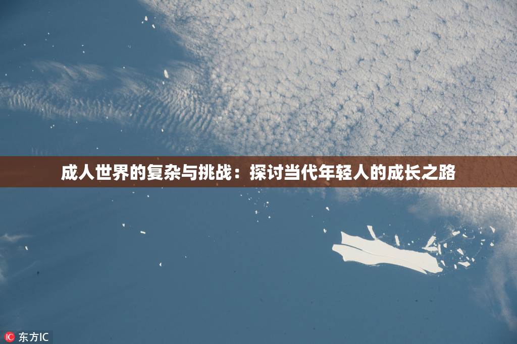 成人世界的复杂与挑战：探讨当代年轻人的成长之路