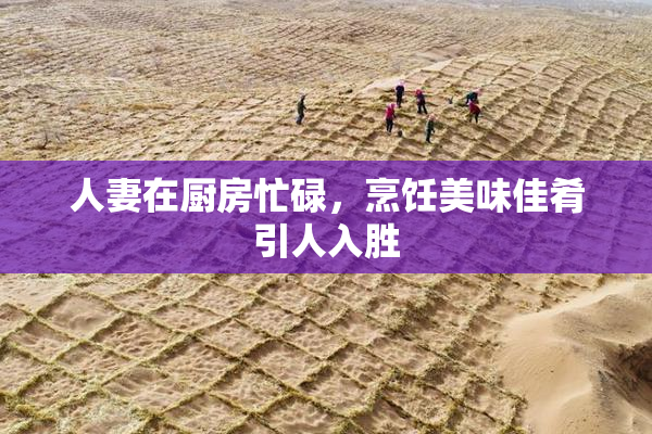 人妻在厨房忙碌，烹饪美味佳肴引人入胜