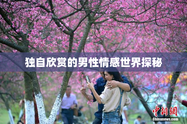 独自欣赏的男性情感世界探秘
