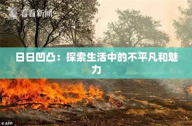 日日凹凸：探索生活中的不平凡和魅力